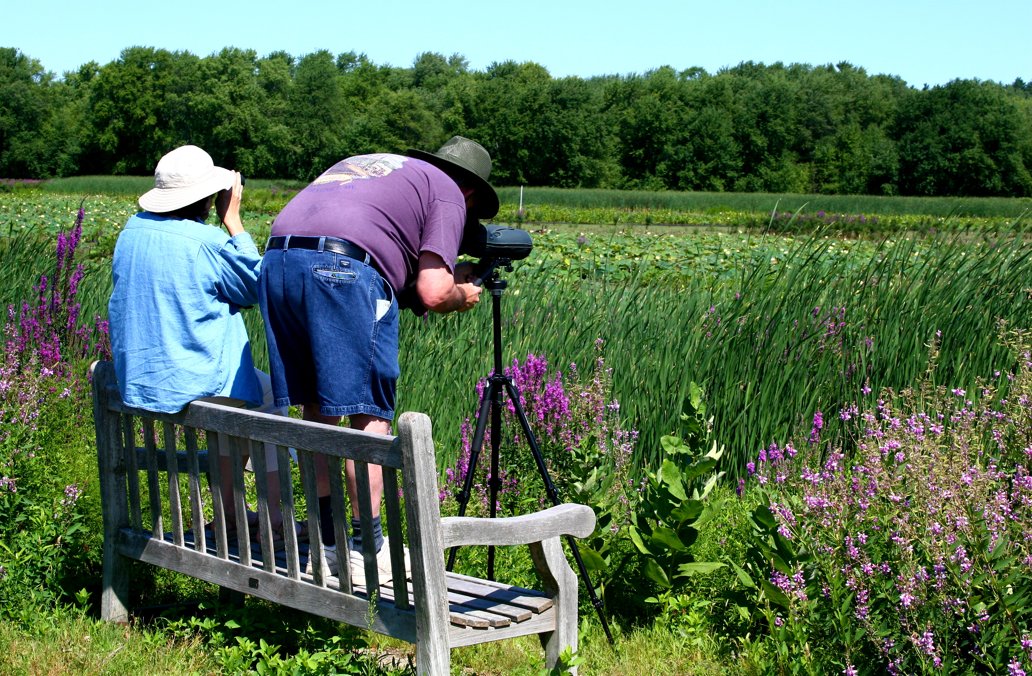 Birdwatchers observing through binoculars at a wildlife refuge