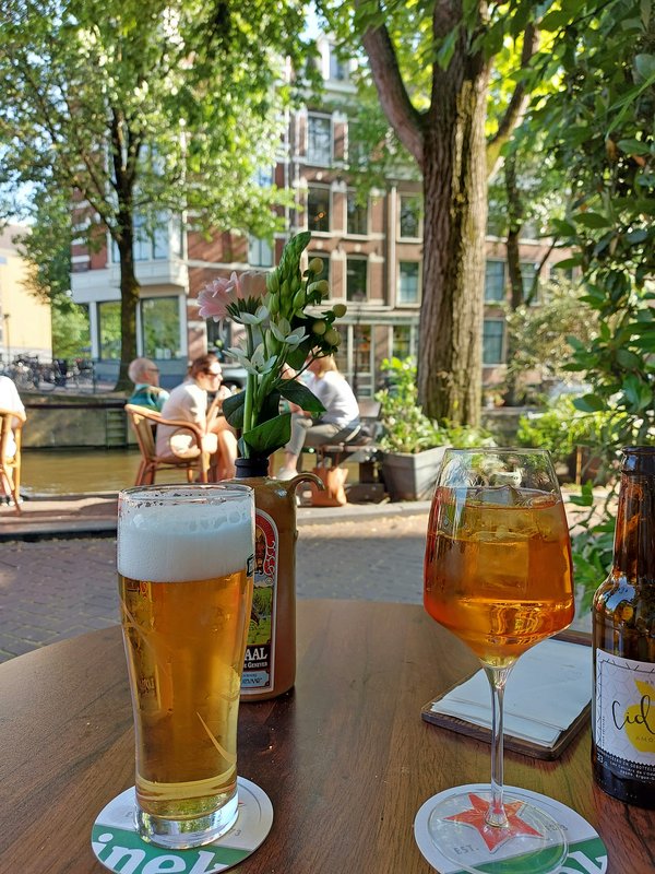 Oasis Amber beer