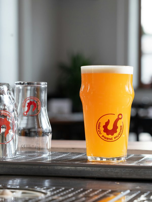Salton Sea Gose beer